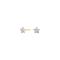 Goldp. silver earrings star w. white cz