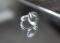 925/- Ring