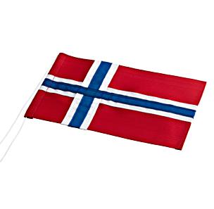 Norwegian flag for 40 cm - 10x16 cm