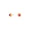 Gold pl. earrings JOY52 LQ 