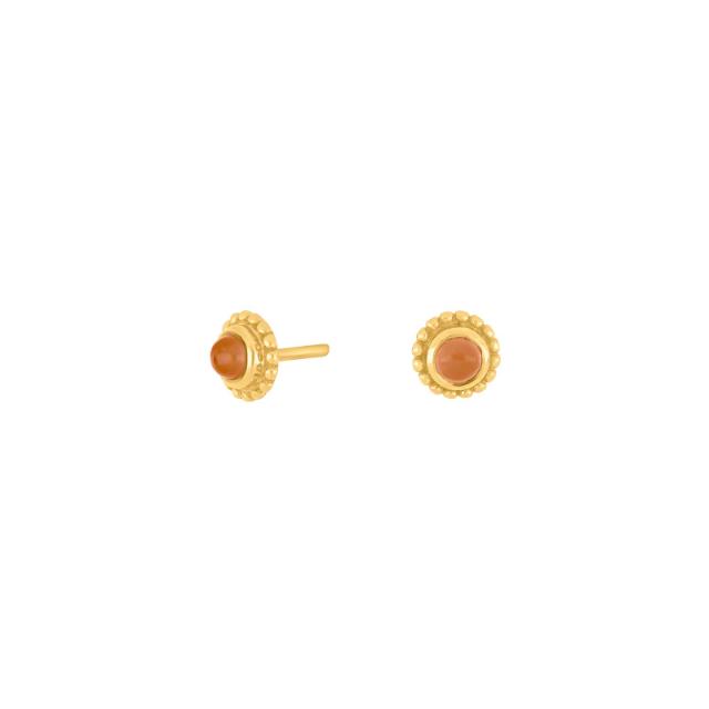 Gold pl. earrings JOY52 PM 